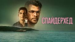 Постер Спайдерхед