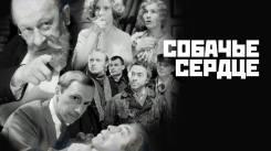 Постер Собачье сердце