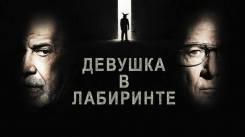 Постер Девушка в лабиринте