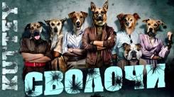 Постер Сволочи