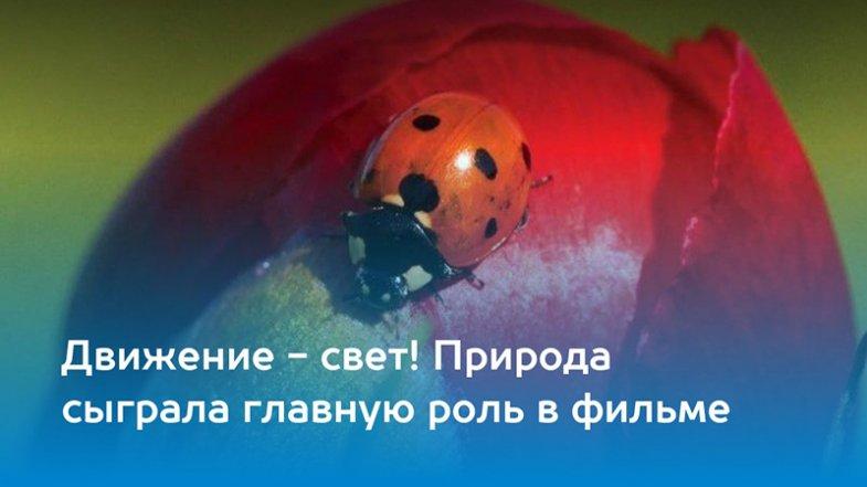 Меня приводит в движение свет, постер, дата выхода, кадры, трейлер Меня приводит в движение свет, постер, дата выхода, кадры, трейлер