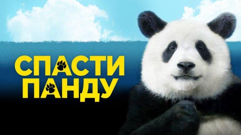 Спасти панду, постер, дата выхода, кадры, трейлер